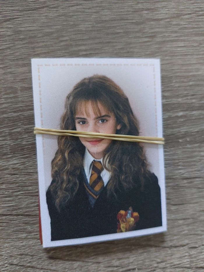 Album Harry Potter Le manuel du sorcier - photo numéro 2