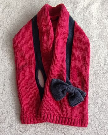 Écharpe sergent major