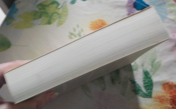 ROUGE BRESIL de Jean-Christophe RUFIN Ed. Gallimard - photo numéro 5