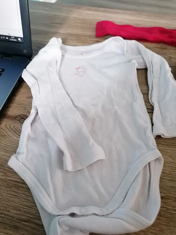 Bodys 18mois - photo numéro 2