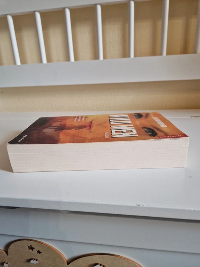 Livre romance - photo numéro 5