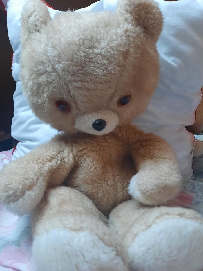 Ours en peluche - photo numéro 2