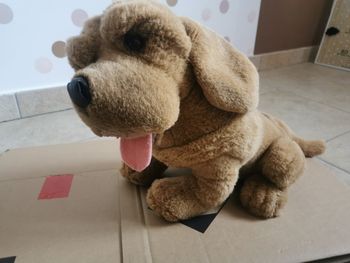 Peluche