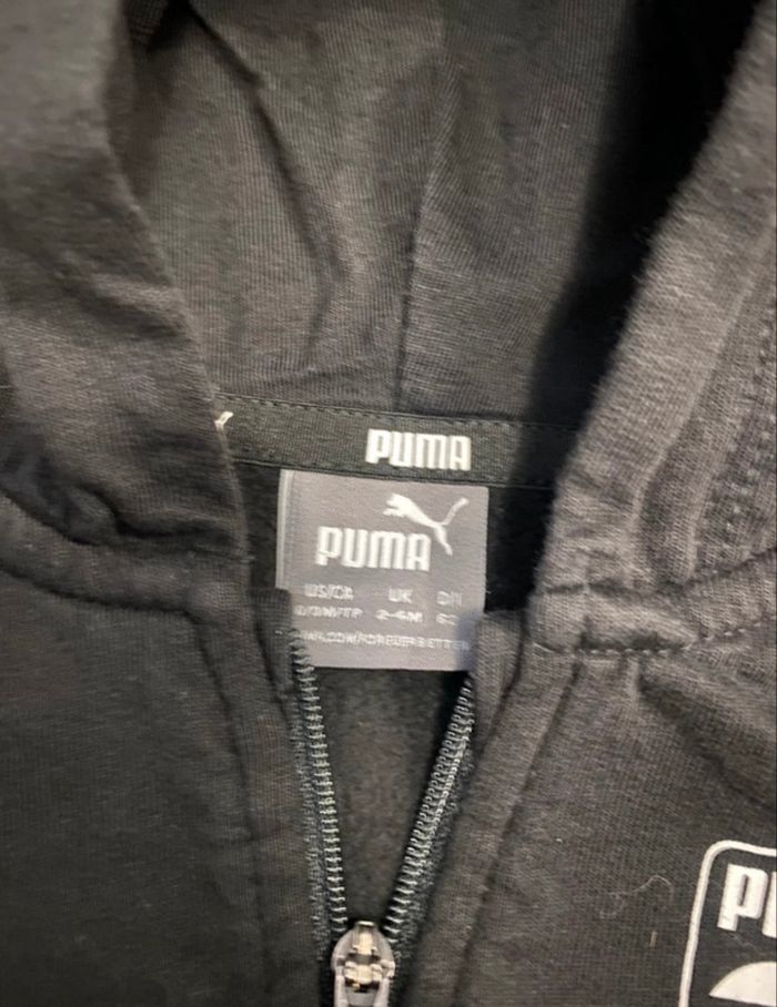 Ensemble puma - photo numéro 4