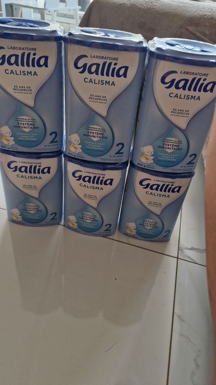 Gallia 2