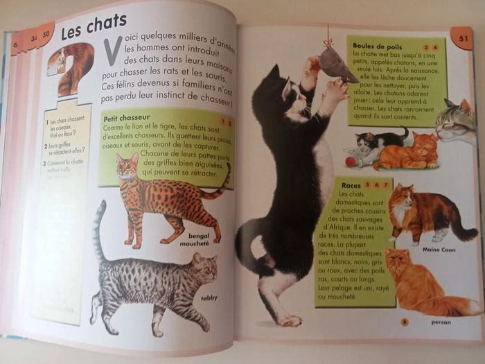 livre mon premier quizz animaux et nature - photo numéro 5
