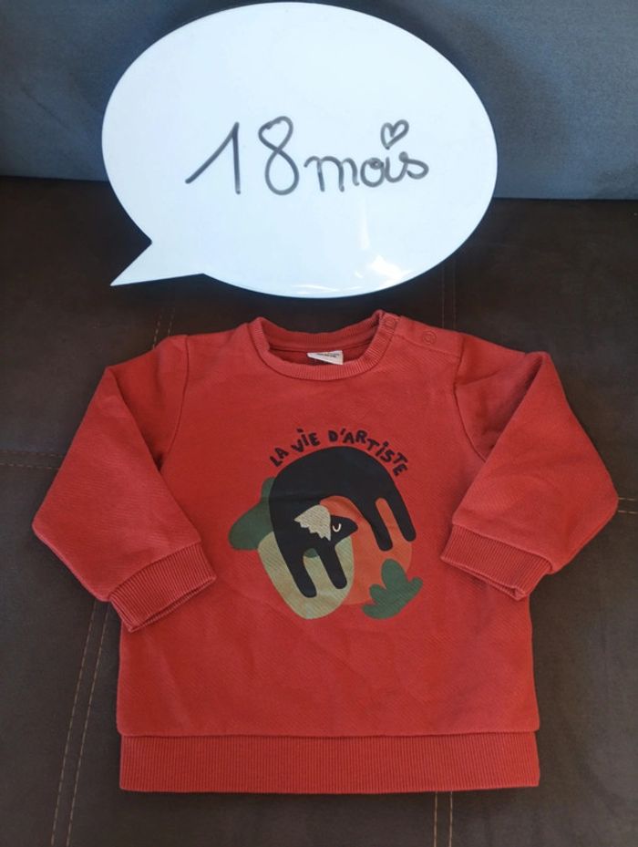 Sweat pull Garçon 18 mois la vie d'artiste animal Tao