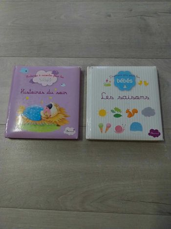 Lot de 2 livres "Histoires du soir" et "Les saisons"