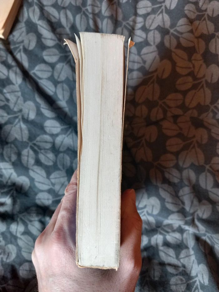 Libido feminie - photo numéro 7