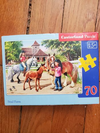 Puzzle 70 pièces poney club