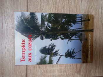 Livre (tempête au coeur) collection Nous deux n°169