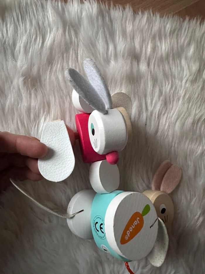 Lapin Janod - photo numéro 4