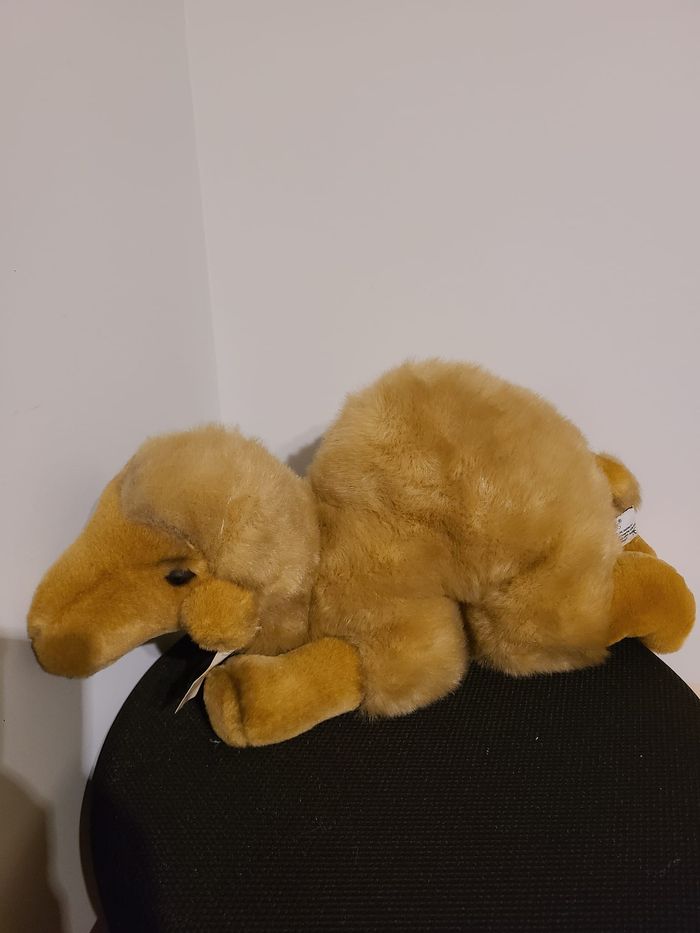 peluche chameau - photo numéro 5