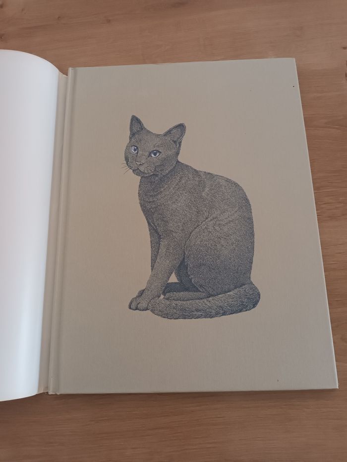 La passion des chats - photo numéro 3