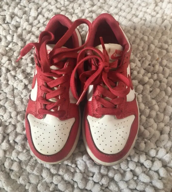 Nike Dunk rose