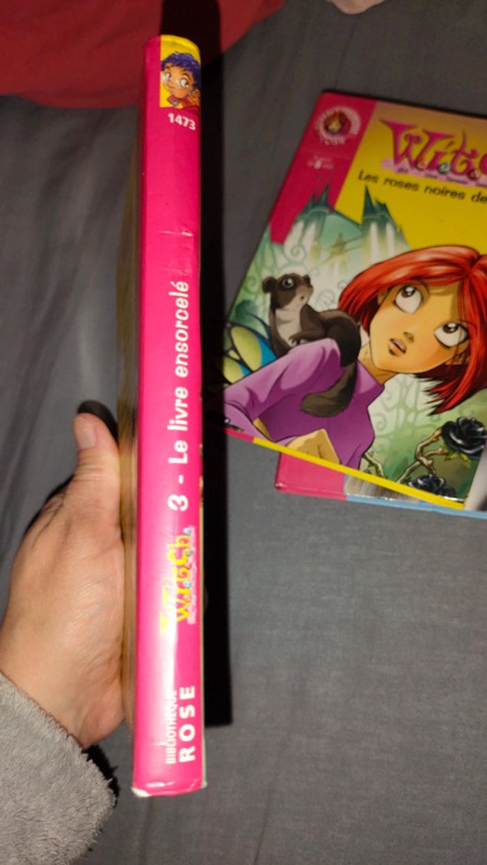 Lot 3 livres witch - photo numéro 8