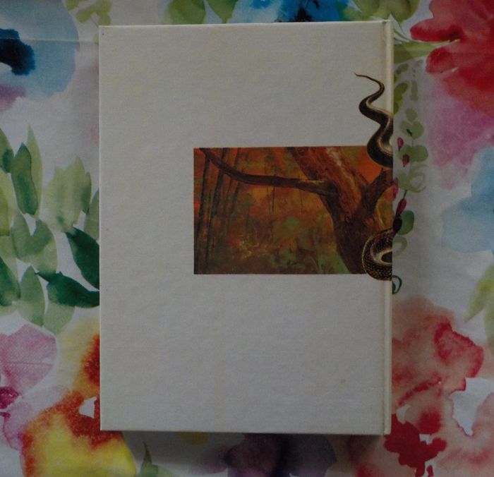 Animal explorers and wanderers Animal world in colour M. Burton - photo numéro 2