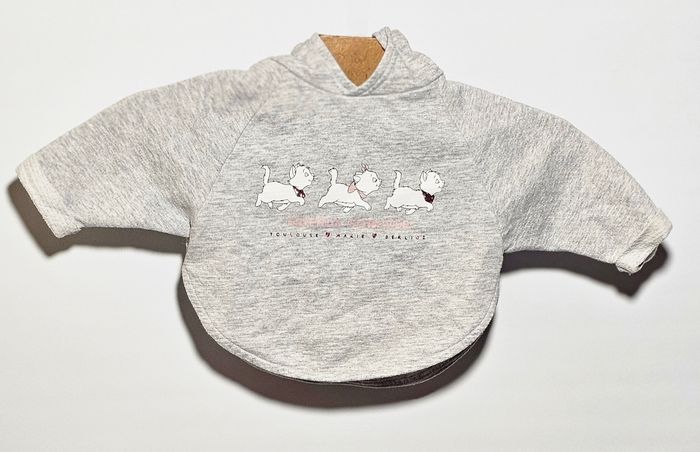 Vend sweet à capuche Marie enfants 9 mois - photo numéro 2