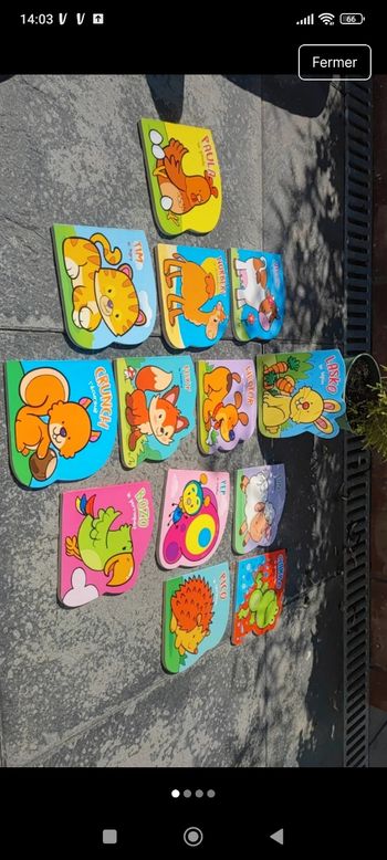 Livre animal Collection action lecture enfant