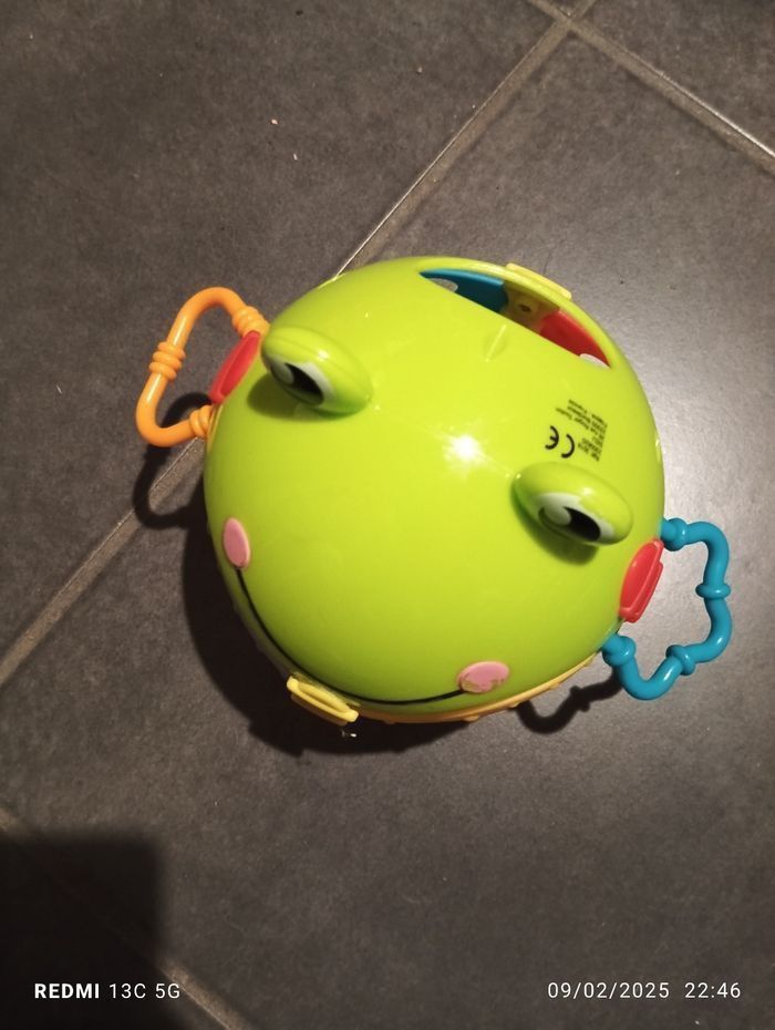 Grenouille d'activités - photo numéro 4