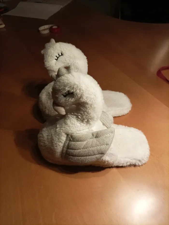 Chaussons Primark P.36