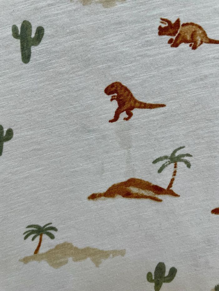 T-shirt désert de dinosauure Gémo 6 ans - photo numéro 3