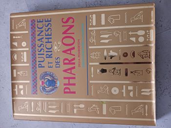 livre Puissance Et Richesse Des Pharaons  - délia pemberton