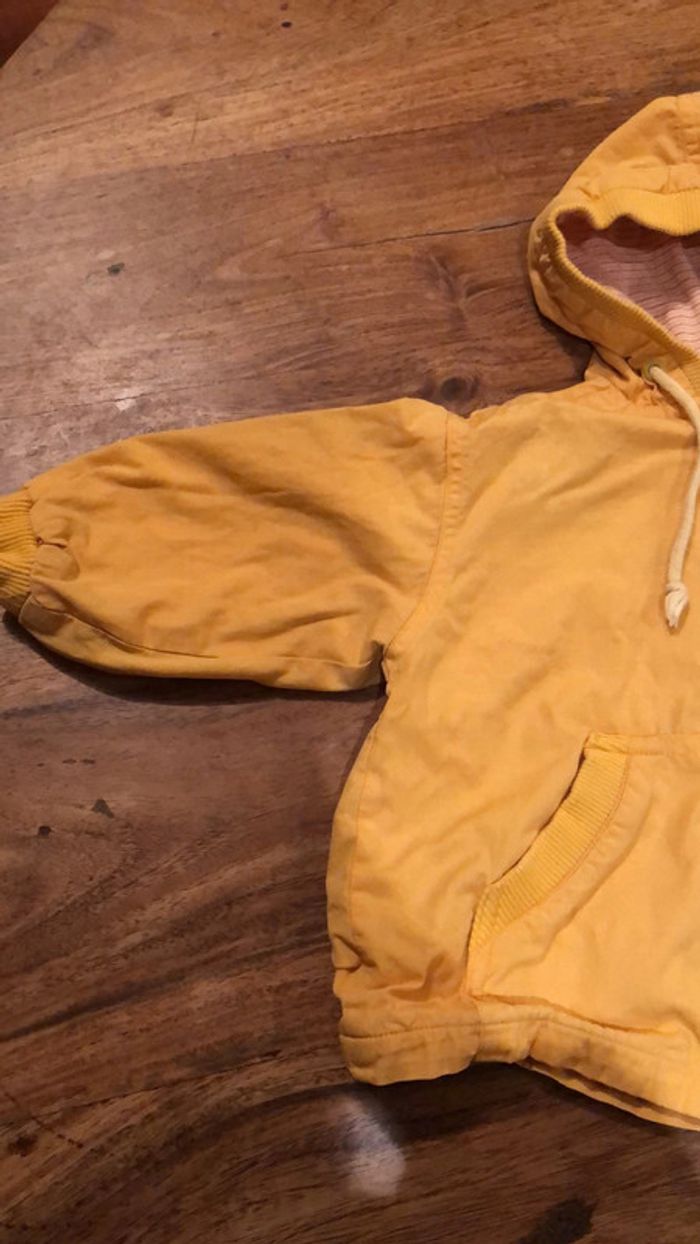Veste 1 an - photo numéro 2