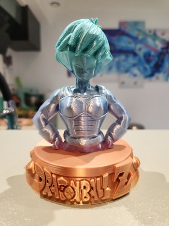 🔥 Figurine Dragon Ball Z – Selipa (Team Bardock) – Buste collector – Saiyan rare