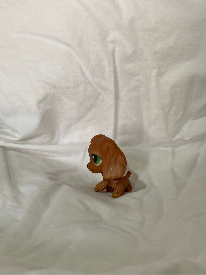 lps cocker - photo numéro 2