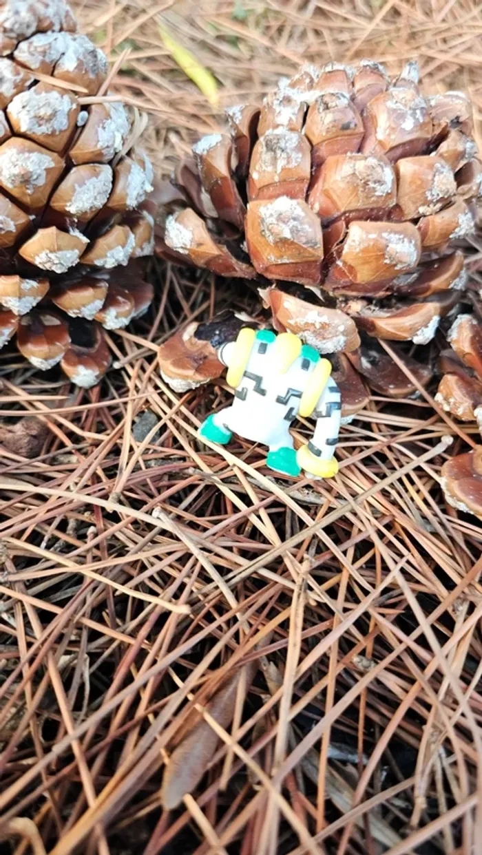 Super figurine Pokemon Nintendo Regigigas - photo numéro 4