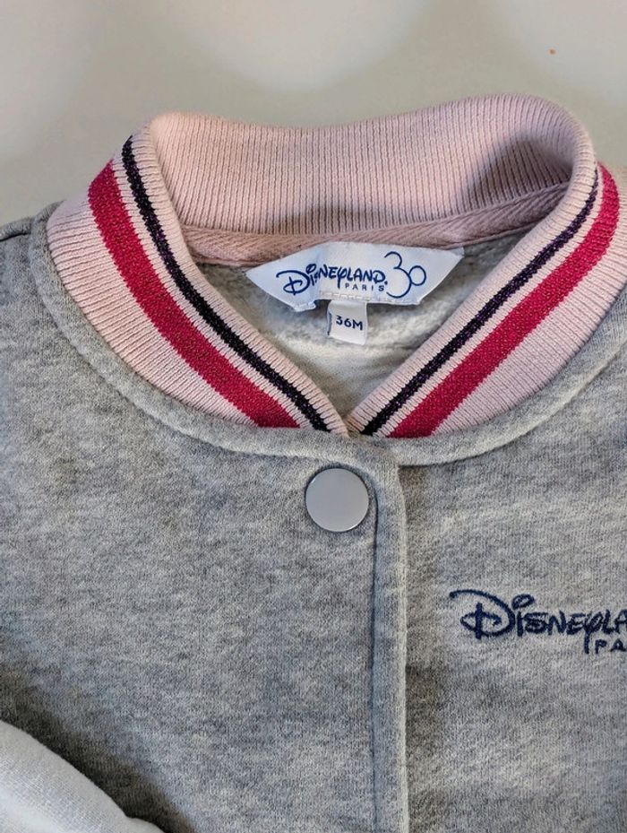 Veste sweat coton gratté manteau Disneyland Paris Minnie 3 ans - photo numéro 2