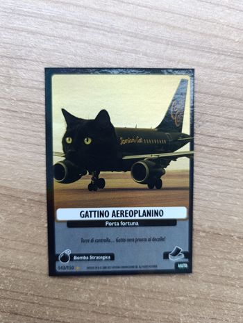 Gattino aereoplanino 