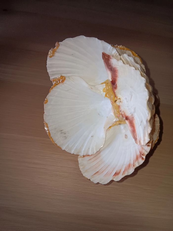 poupée  en coquillage - photo numéro 6