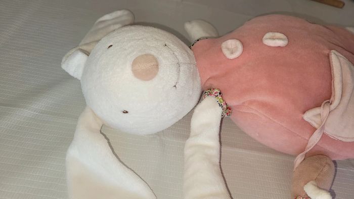 Peluche d activité - photo numéro 4