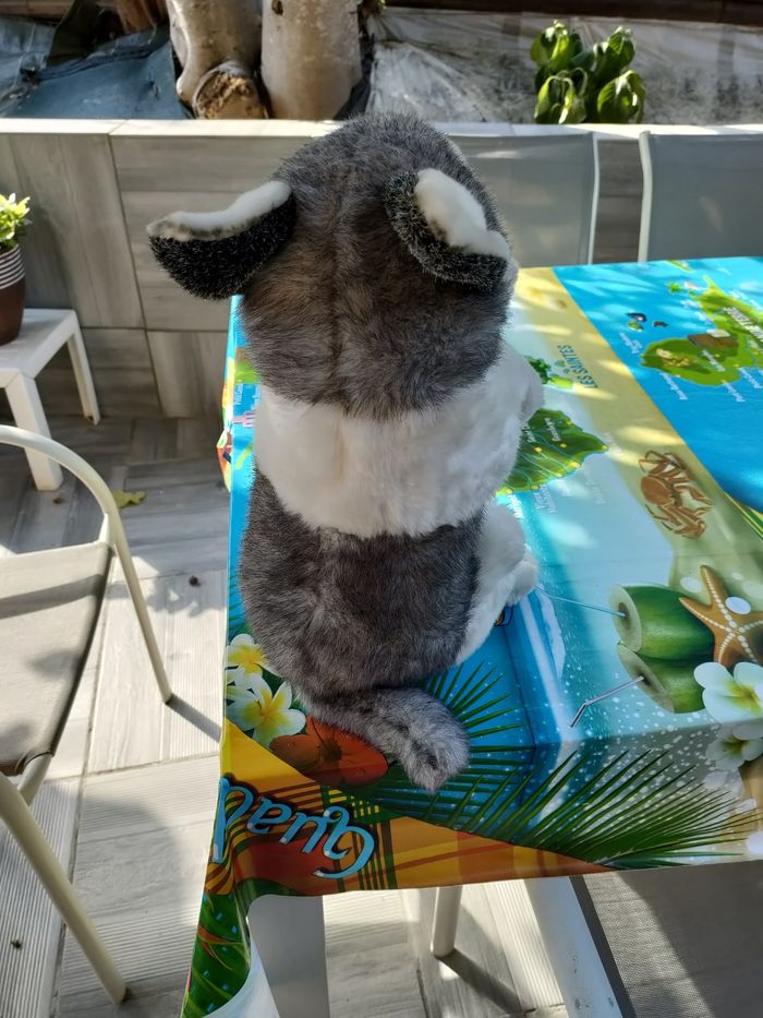 Peluche chien - photo numéro 2