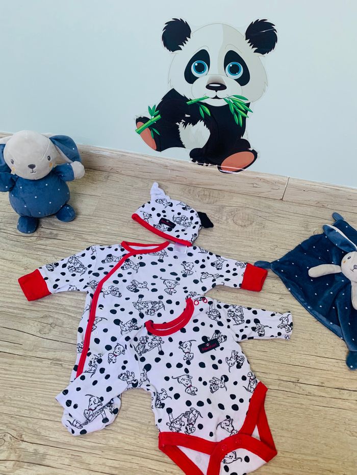 Ensemble dalmatien 🐶