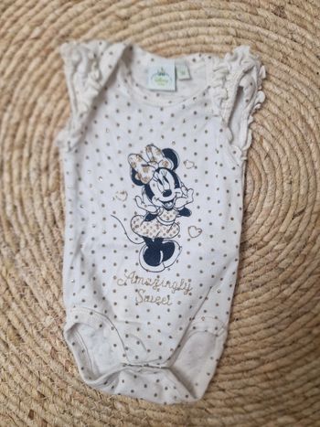 Petit body