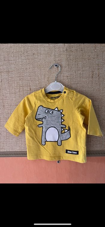 Tee-shirts dino