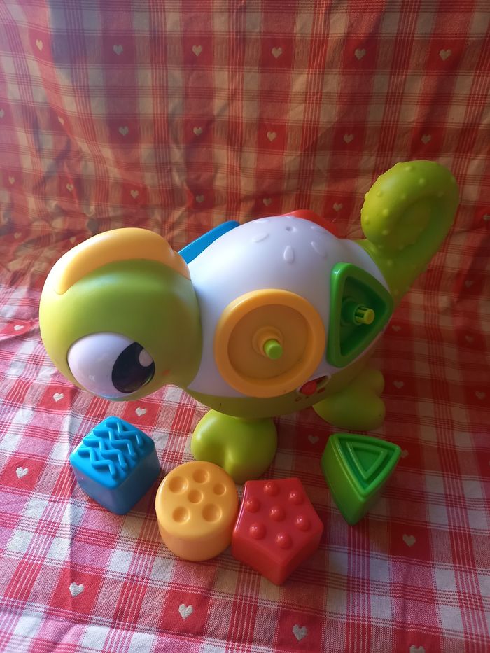 Caméléon avec formes - photo numéro 3