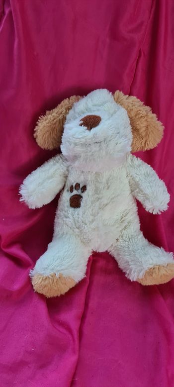 petit chien chiot tout doux pilou pilou