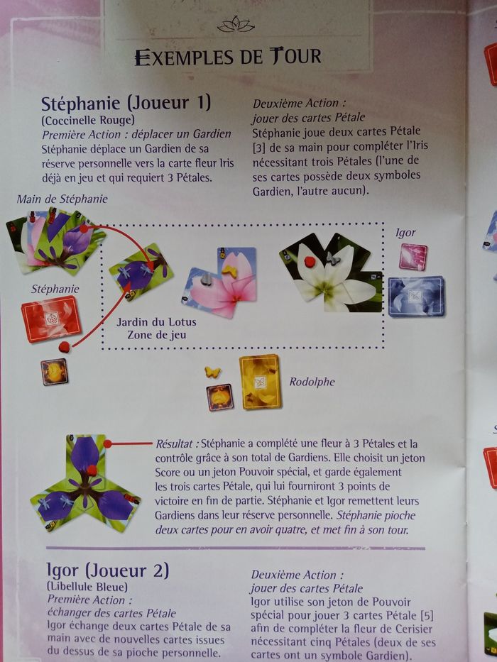 Lotus jeu - photo numéro 6