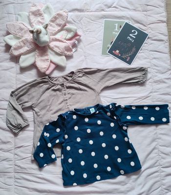 Lot de 2 t-shirts bébé fille différentes marques 12 mois