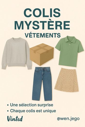 Colis mystère (23 vêtements)
