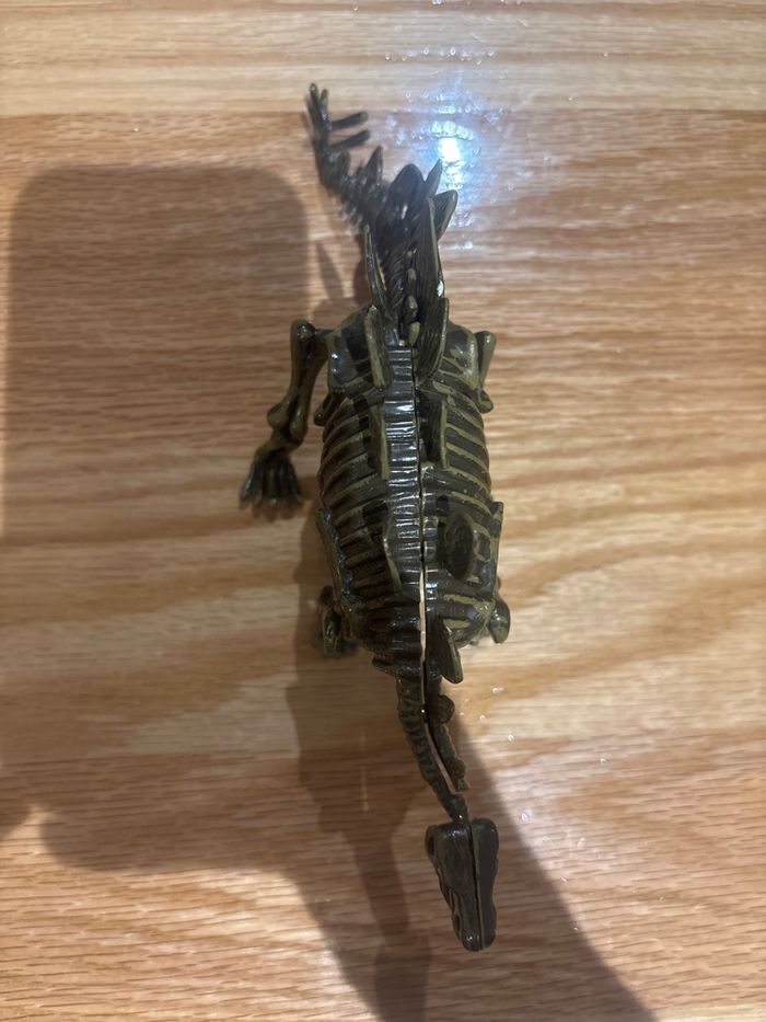 Dinosaure 🦕 - photo numéro 5