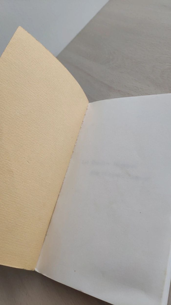 Livre recettes magiques pour contre l'amour Schwablé Bersez méthodes pratiques - photo numéro 7