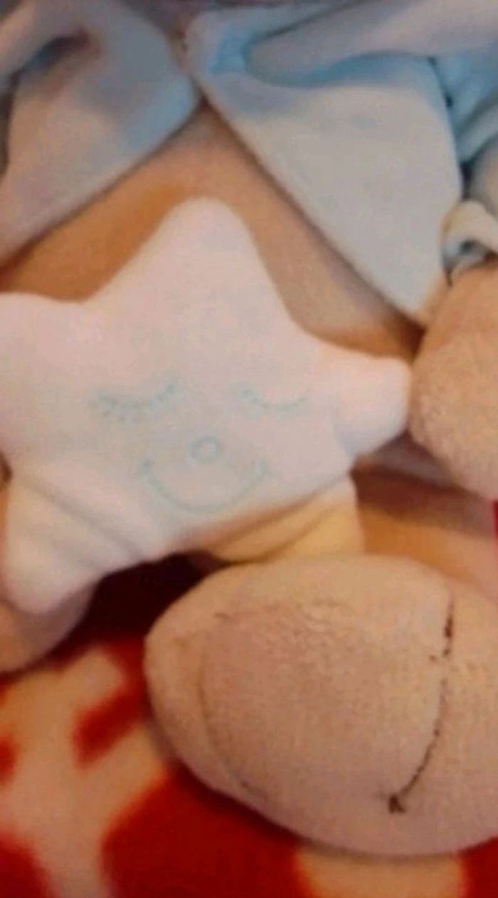 Peluche musicale - photo numéro 4