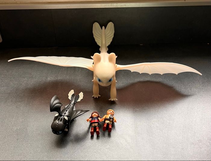 Furie Éclair et bébé Dragon avec Les Enfants playmobil - photo numéro 2