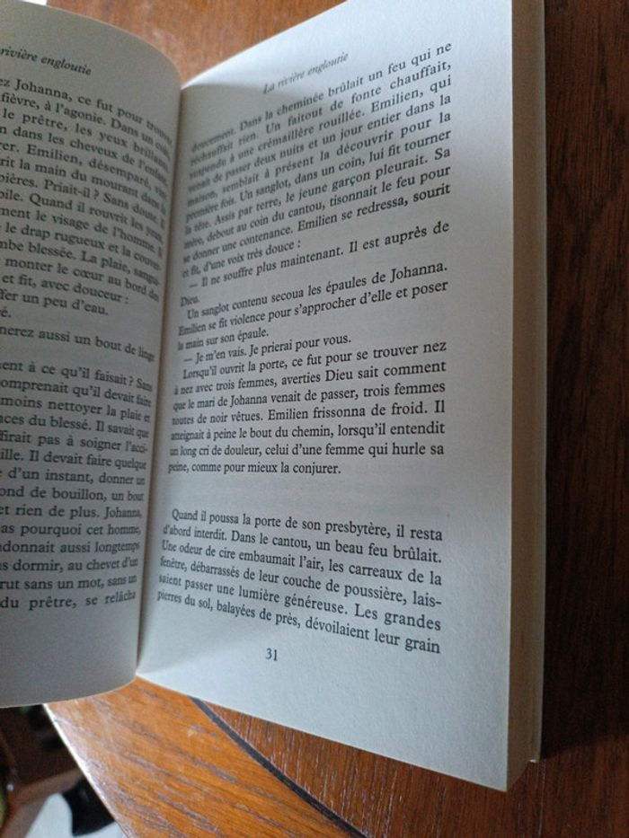 La rivière engloutie - photo numéro 5