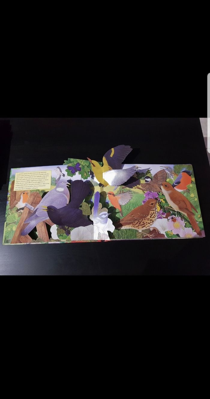 Oiseaux du monde - photo numéro 4